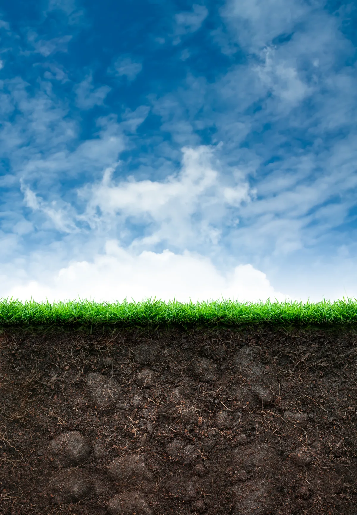 Capacitación ISO 14001:2026