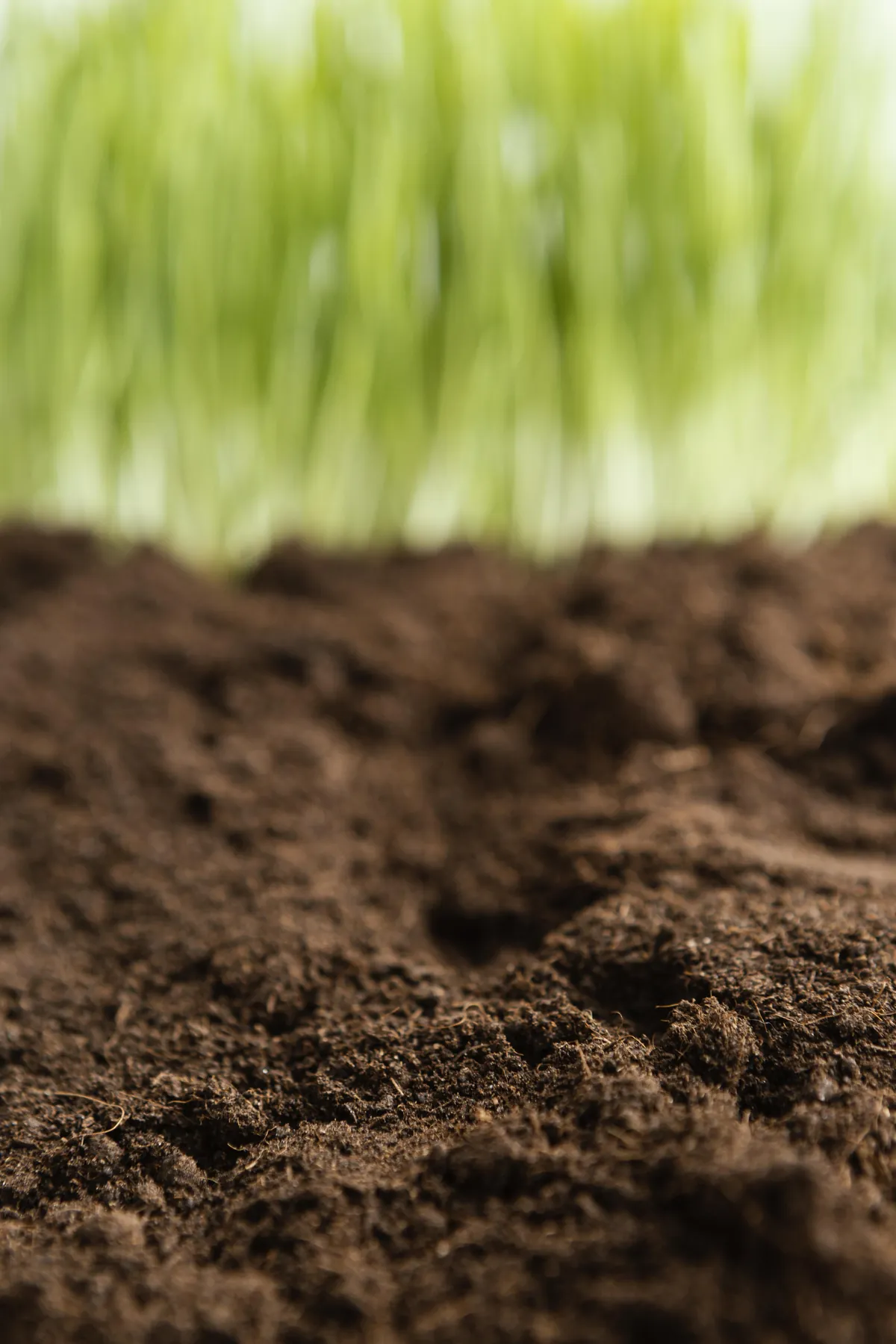 Ecodiseño — ISO 14006